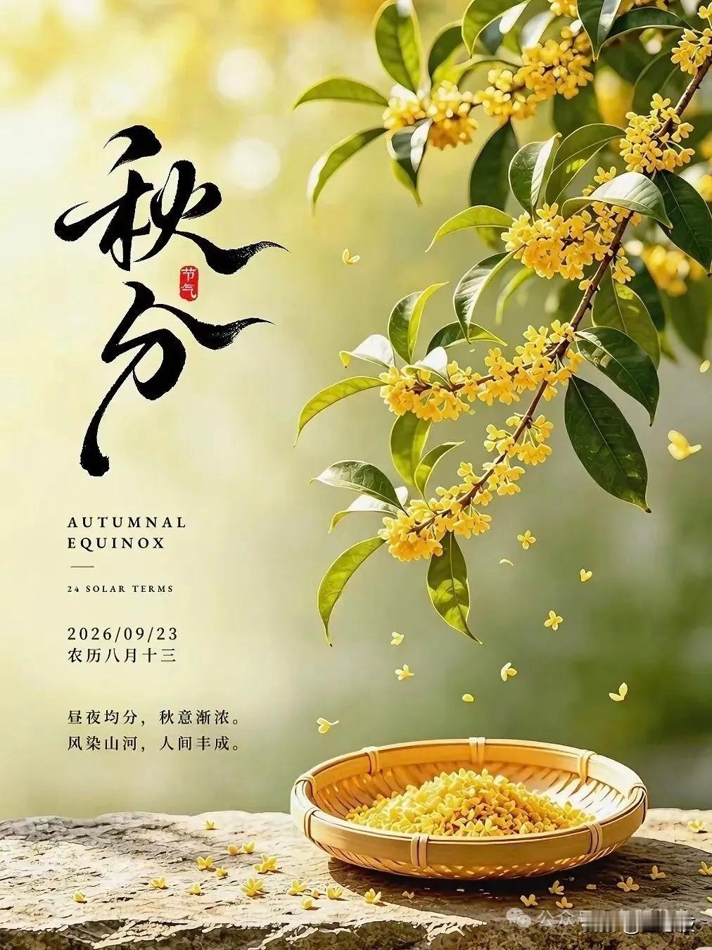 光阴对折，天地平分秋色今日是秋分。
清晨推开窗，风里已经带了明显的凉意。不再是立