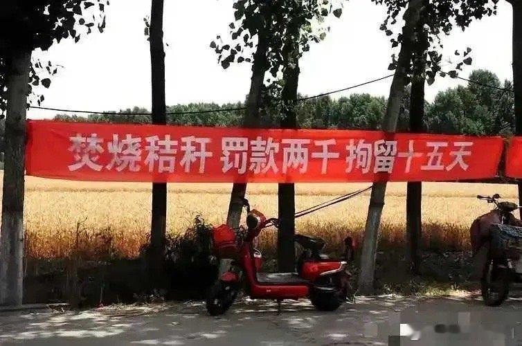 罚这么重啊！ ​​​