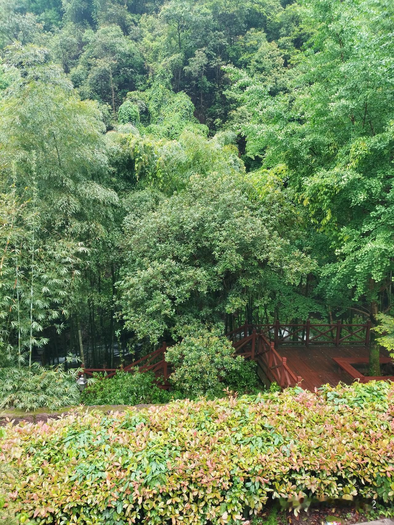 山青水绿，泉水叮咚