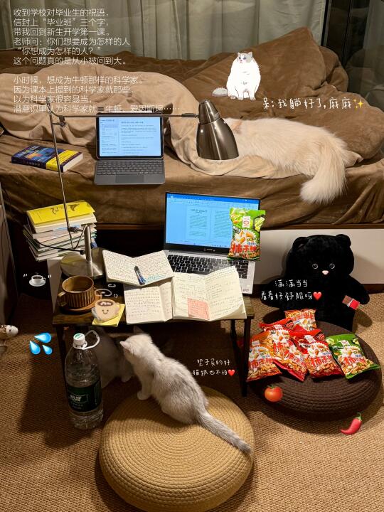 有钱、漂亮、蒸蒸日上，我享受现在半满的生活！