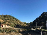 小舟舟热聚科技