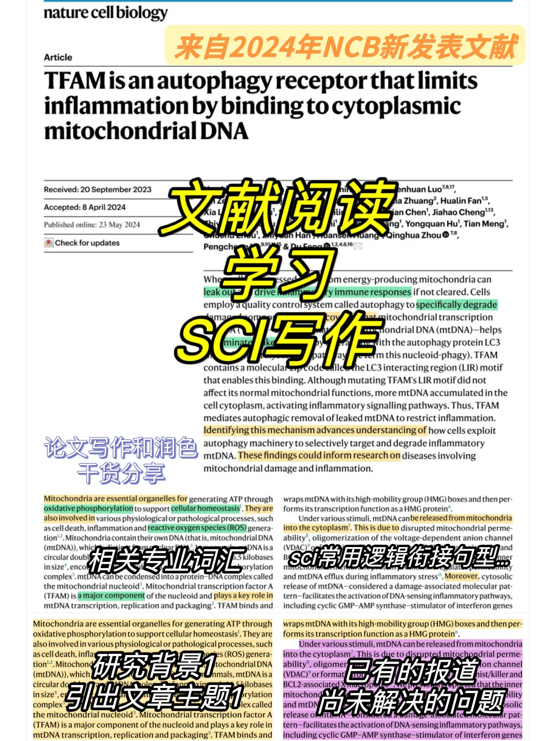 从top刊文献学习SCI写作方法1️⃣📝