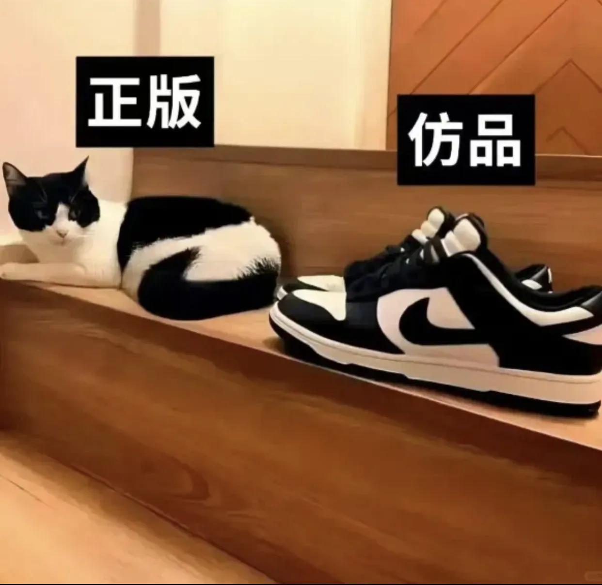哈哈哈哈，这个正品仿品[捂脸]