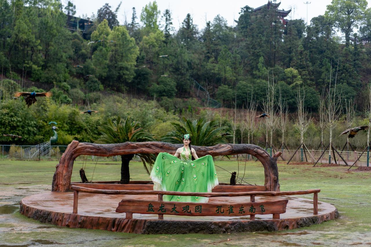 湘潭盘龙大观园有一个极具吸引力的地方，是呦呦动物乐园。
这里的互动体验主要由鹿呦