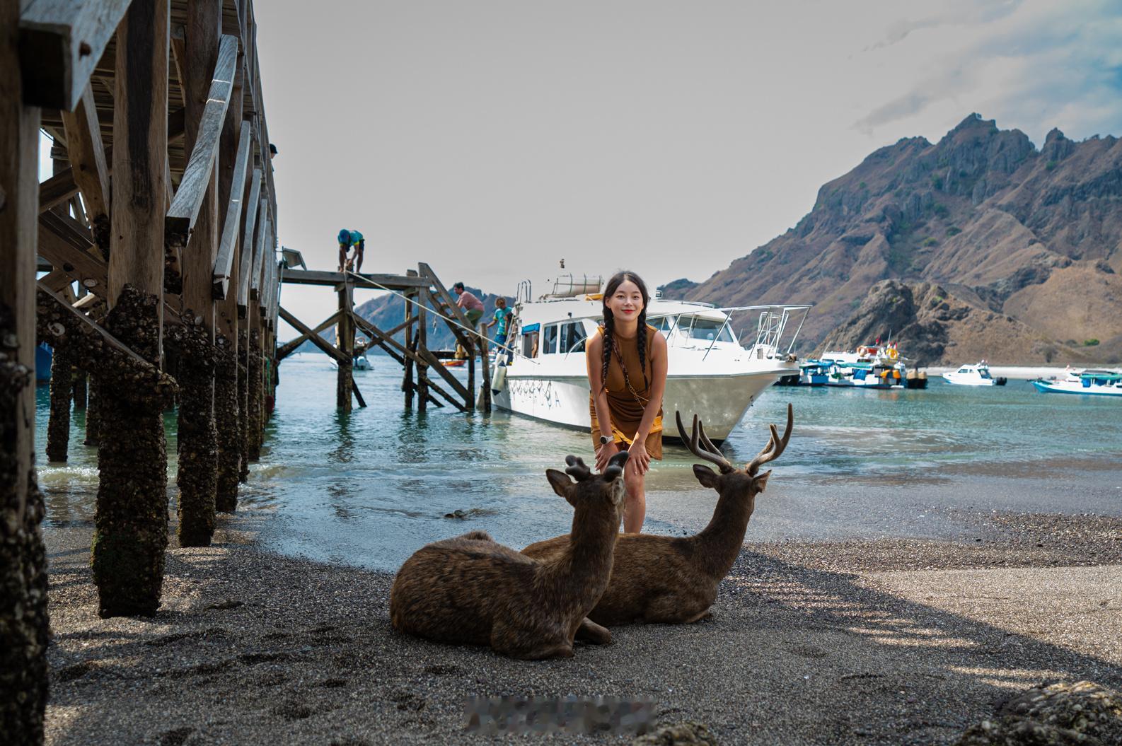 在帕达尔岛等船时，遇见一位韩国女孩在海滩逗鹿玩，先不论韩国整容水平的优劣，就她们