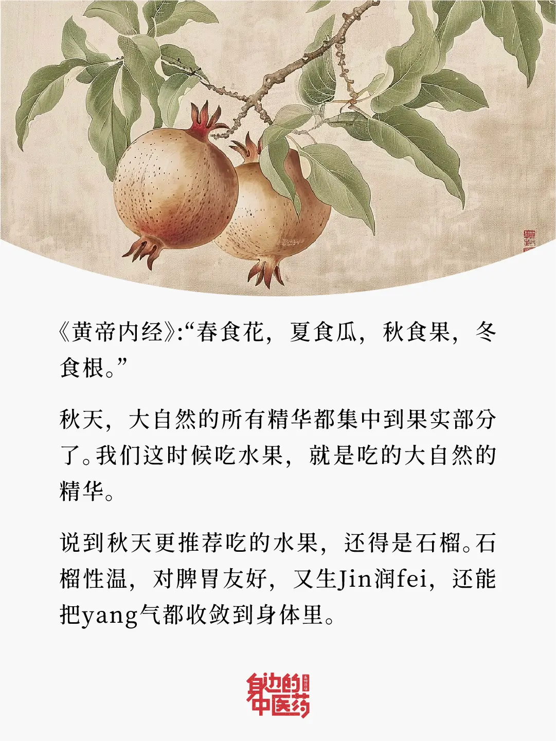 爱吃石榴的朋友有福了！