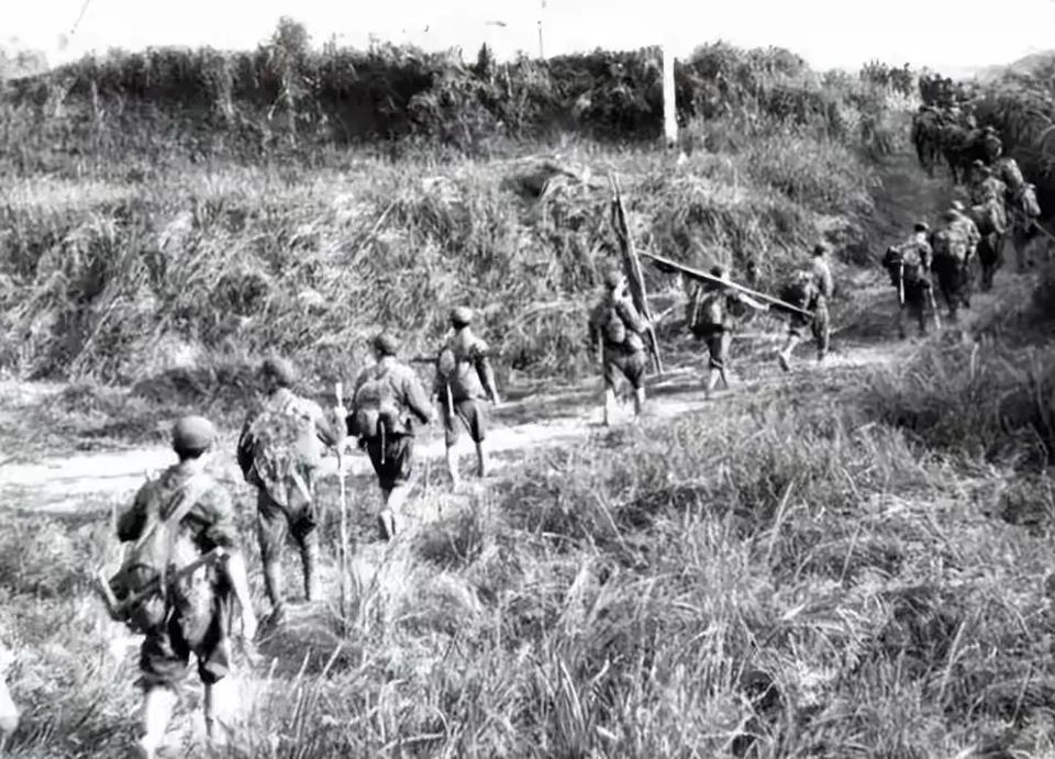 1979年，对越自卫反击战中，有个越南村长主动给解放军带路，路上，我军排长担心有