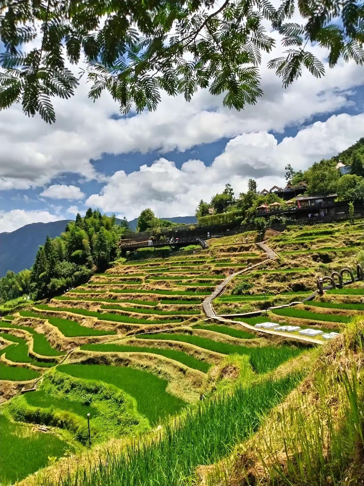 那些远去的日子25
亲历开门办学：走出教室到广阔天地去听课

学校的东南面是一片