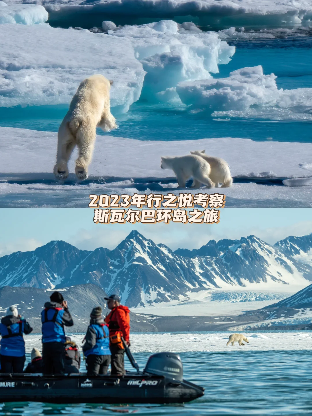 认准AECO，去北极旅行找对代理真的能省钱