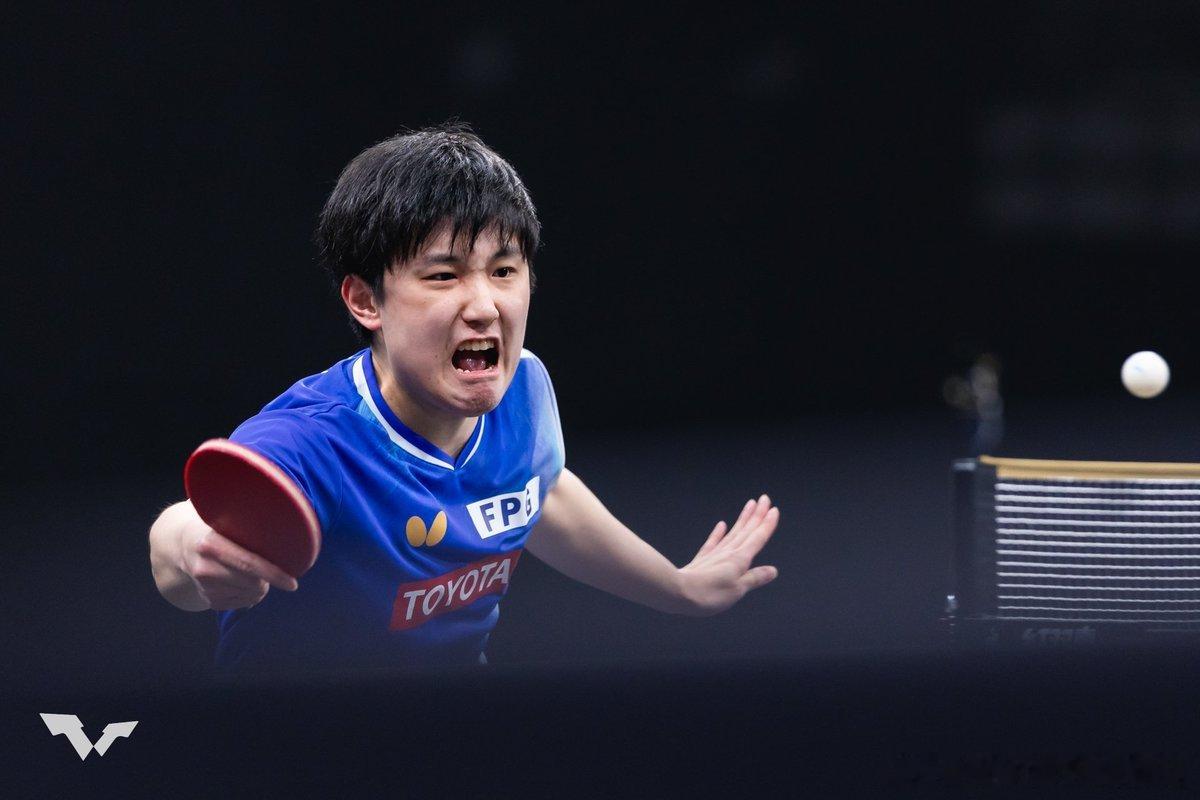 wtt多哈球挑2026张本智和 260116 男单R32（Vs.吉山僚一）照片一