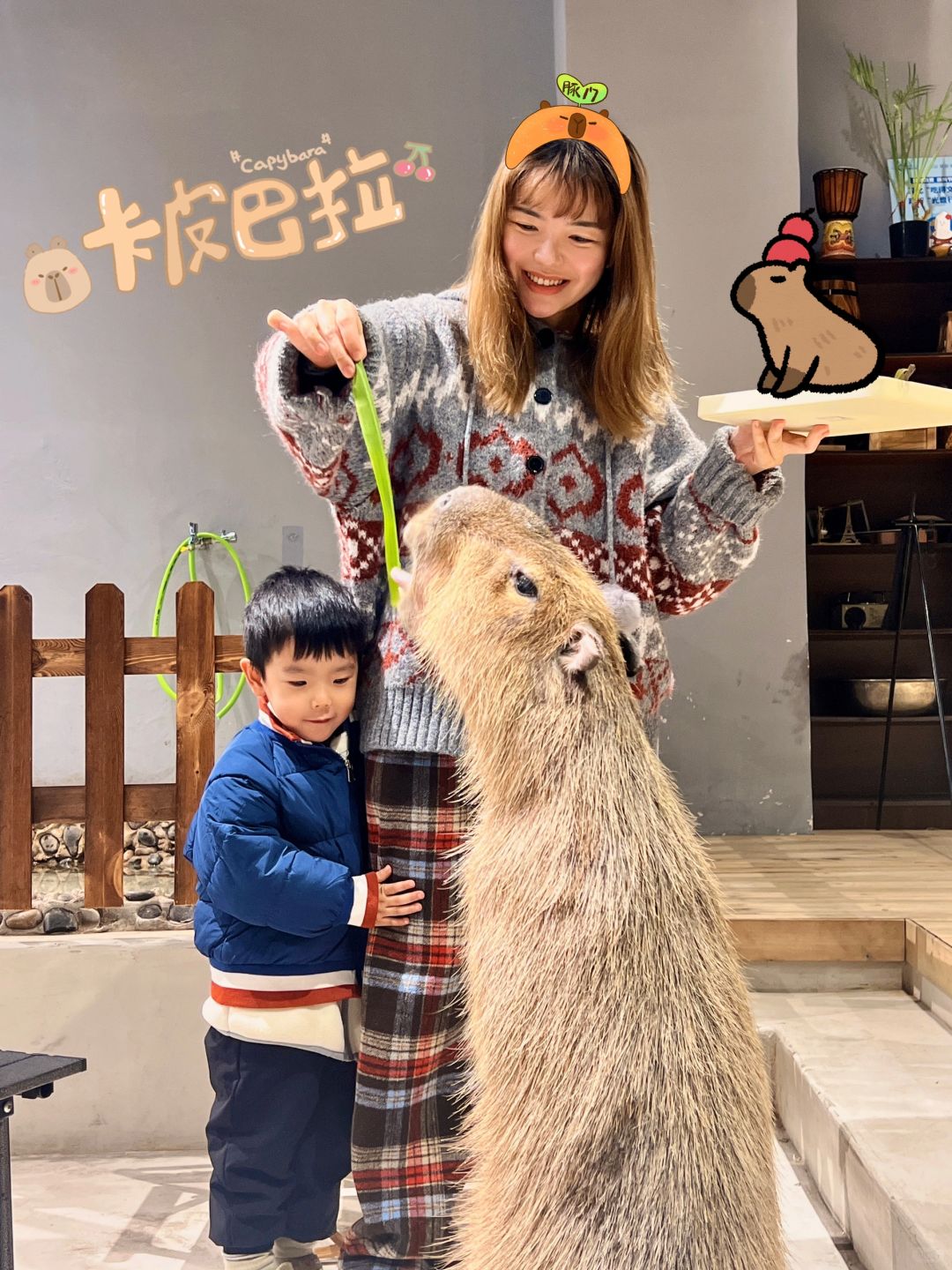 救命❗️我人生第一次！在这里就抱到了水豚