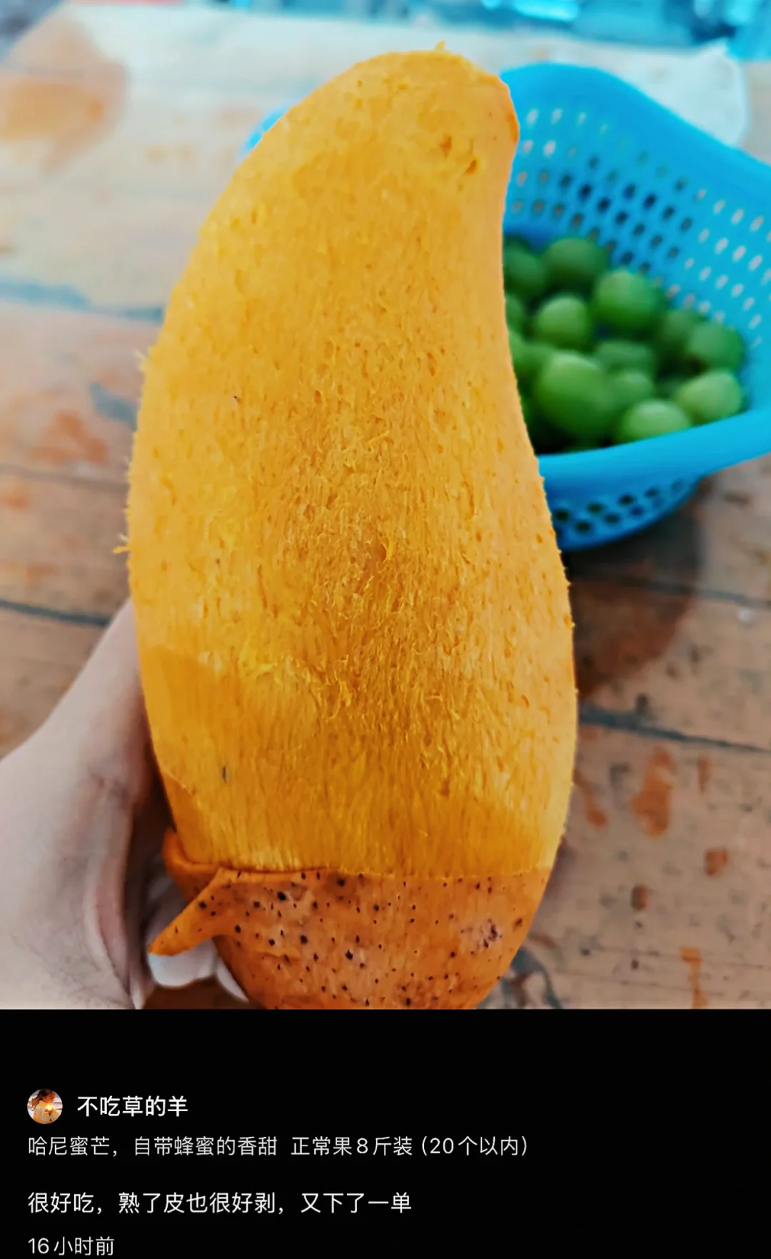 它的皮真的薄如蝉翼，这是粉丝的反馈图！