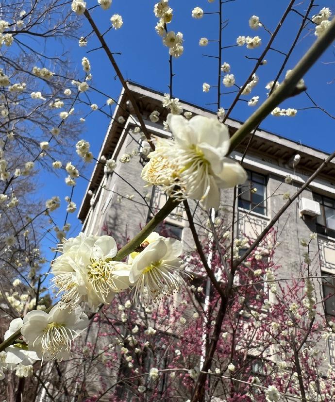 Day 15
03.18 

不知不觉已经坚持记录到第十五天啦！今天的阳光格外温