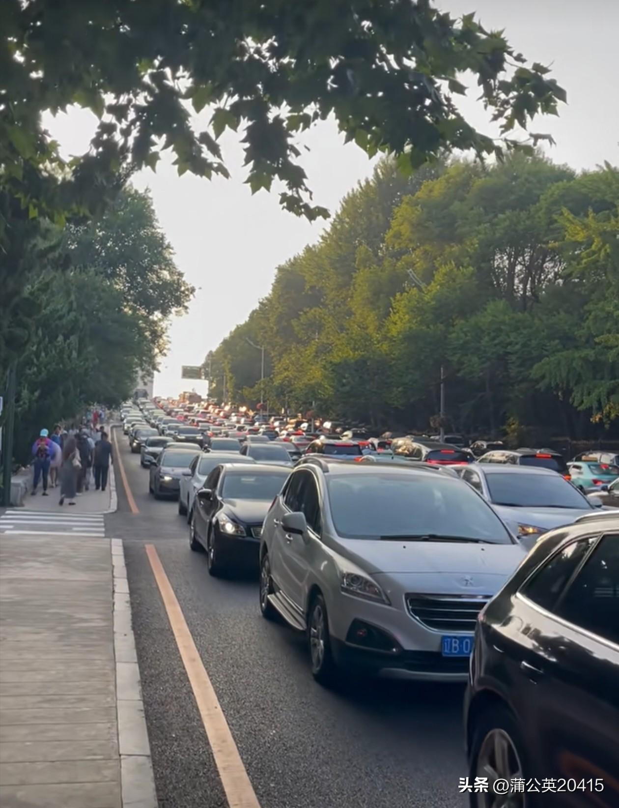 通往大连付家庄公园的路上，那车真是塞的一动不动，排起了队，自驾车还真不如坐公交车
