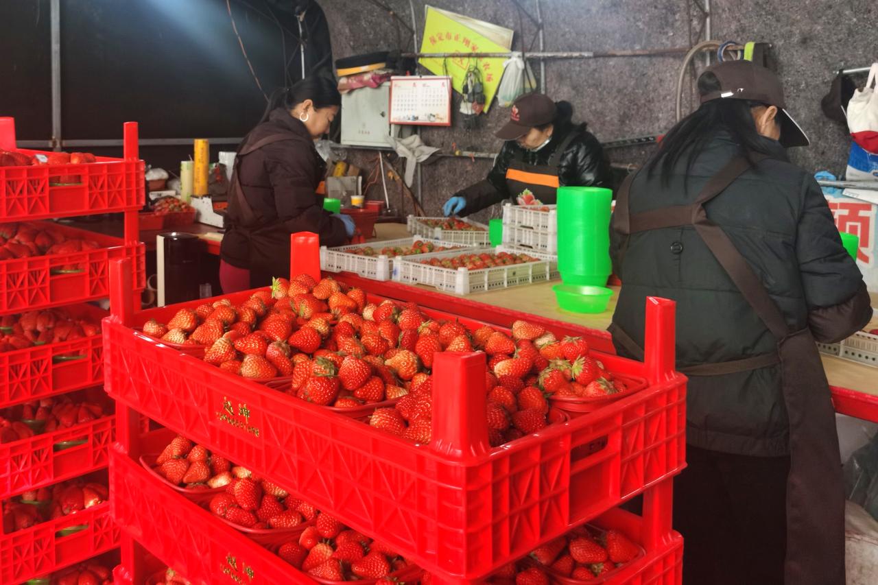 把被子拿到外面晒☀️
晒过的被子有阳光的味道，暖乎乎的
过日子就得学会捕捉这些小