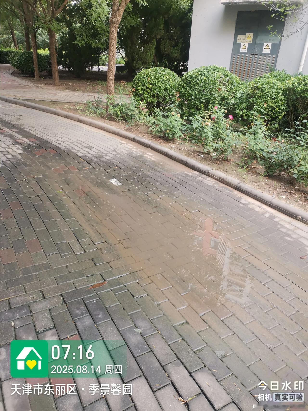 还有广大业主也深受其害啊。像我们小区下雨后积水严重，完全就只能靠自然晒才能解决！