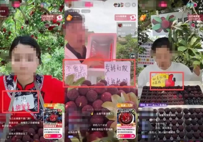 杨梅协会会长恳求消费者给果农生路 会长的恳求发布后，迅速登上了热搜，但网友的反应