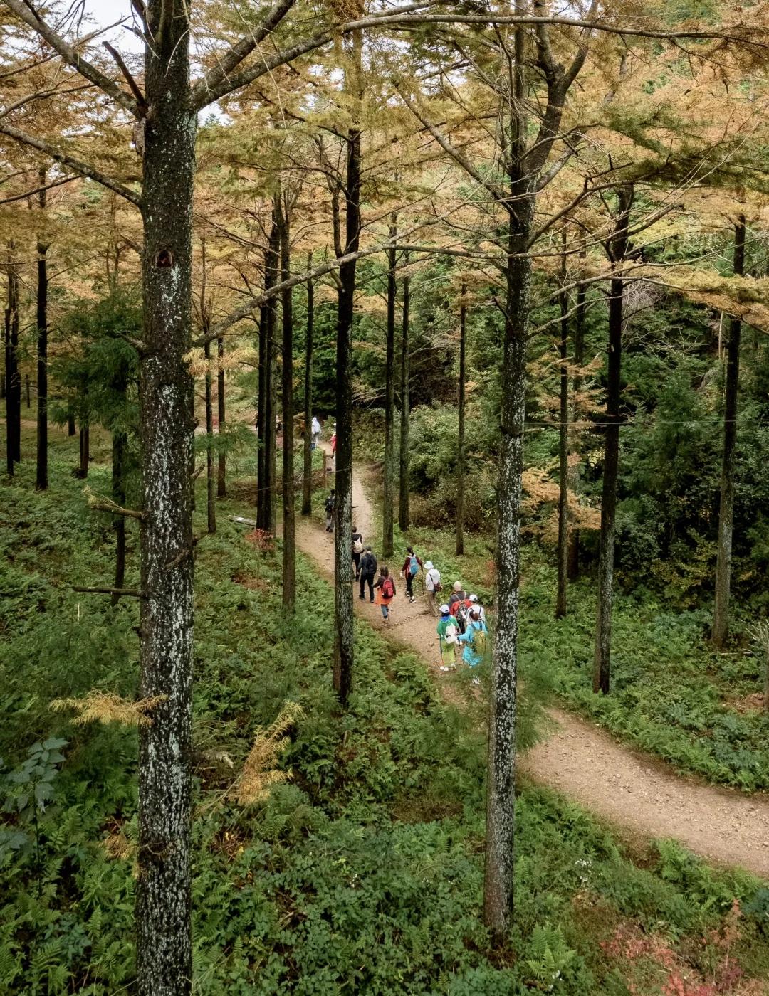 【十字裤】最新线路，不要走公路，新轨迹
由于【界牌头】到【十字裤】修了水泥路，这
