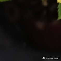 让它开一次花好不容易呀 ​​​