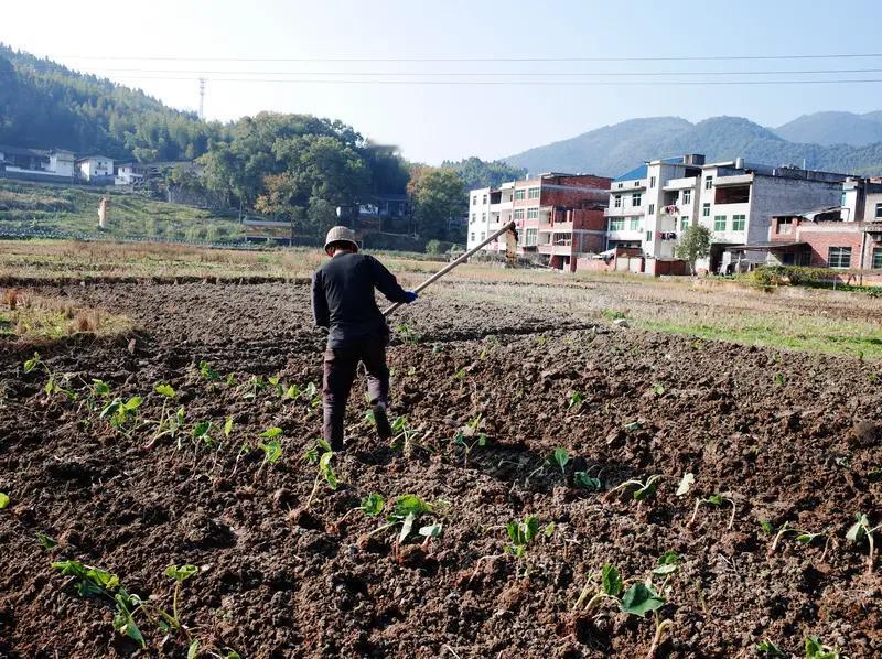 “锄禾日当午”。有小朋友问:“中午去除草，是不是傻？”
井里的青蛙不知道天空的广