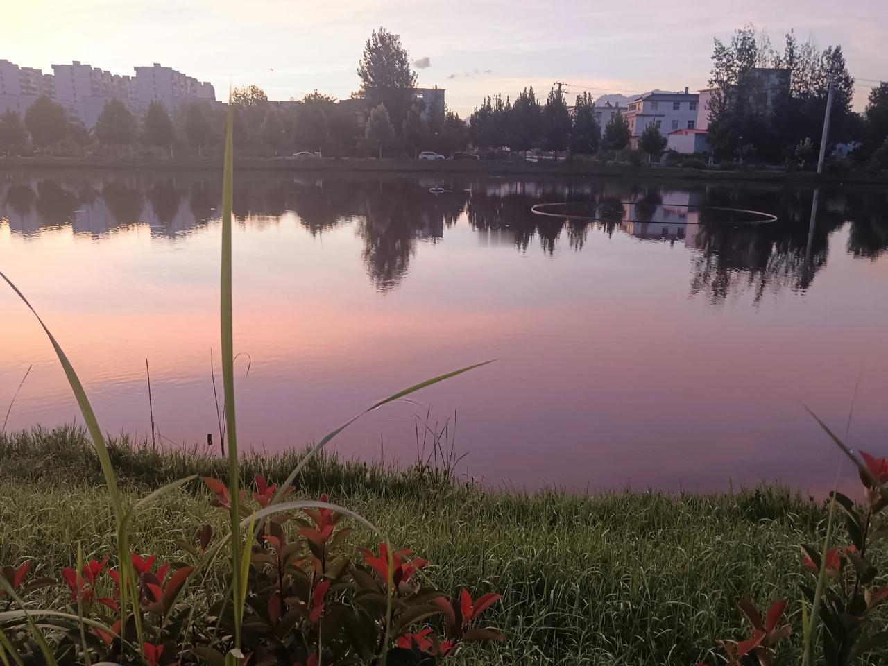 西天的云絮早被熔成一片金红，像谁把胭脂打翻在绸缎上，层层叠叠晕染开去。落日正悬在