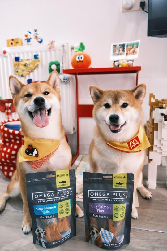 家有两柴🐕蒲公英小狗的必备零食Op冻干