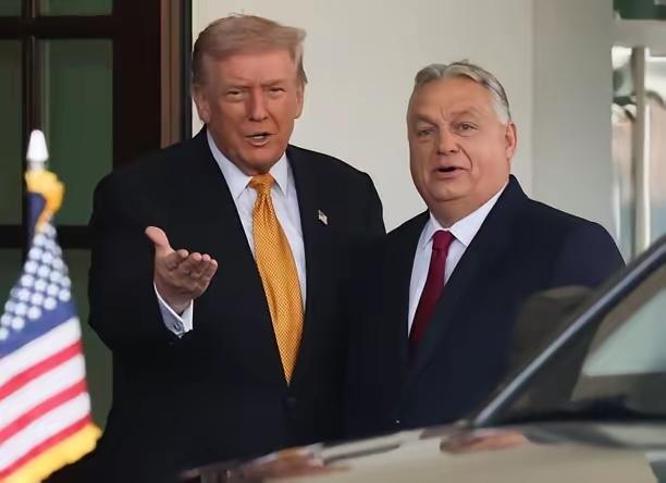 欧尔班和特朗普关系是真铁。
特郎谱的关税大棒打遍全球，无论是欧盟北约还是其小弟日