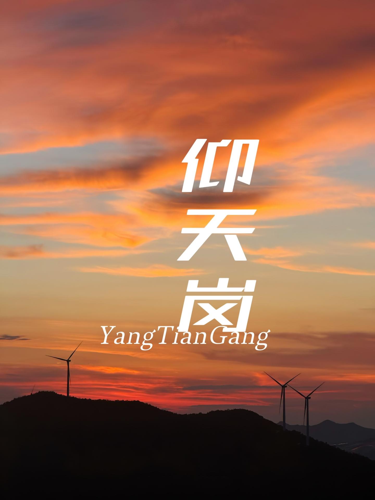 仙居仰天岗风车下的昼夜诗！在仰天岗的风车下，24小时被拆分成三段流动的...