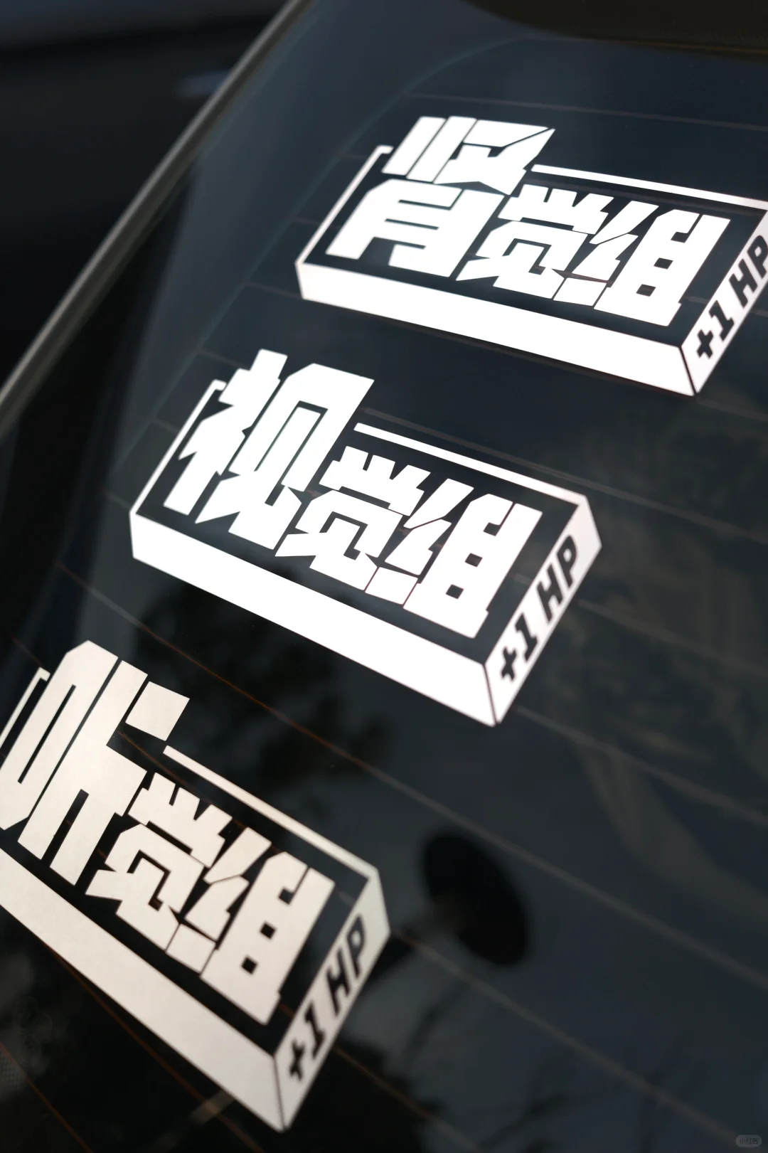 你的玩车方向是？