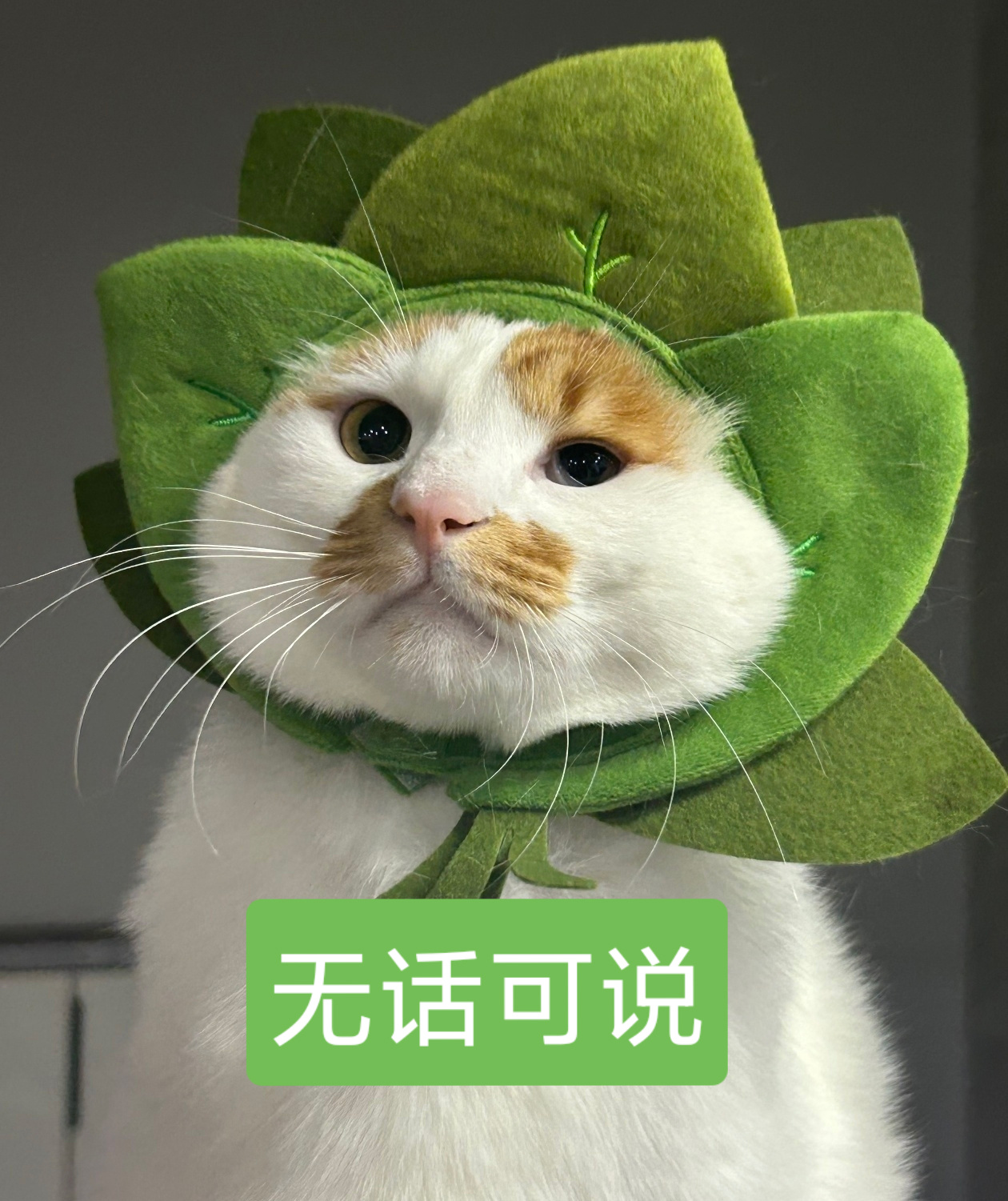 没想到愚人节站姐这种无聊的梗2026年了还有人搞…… 