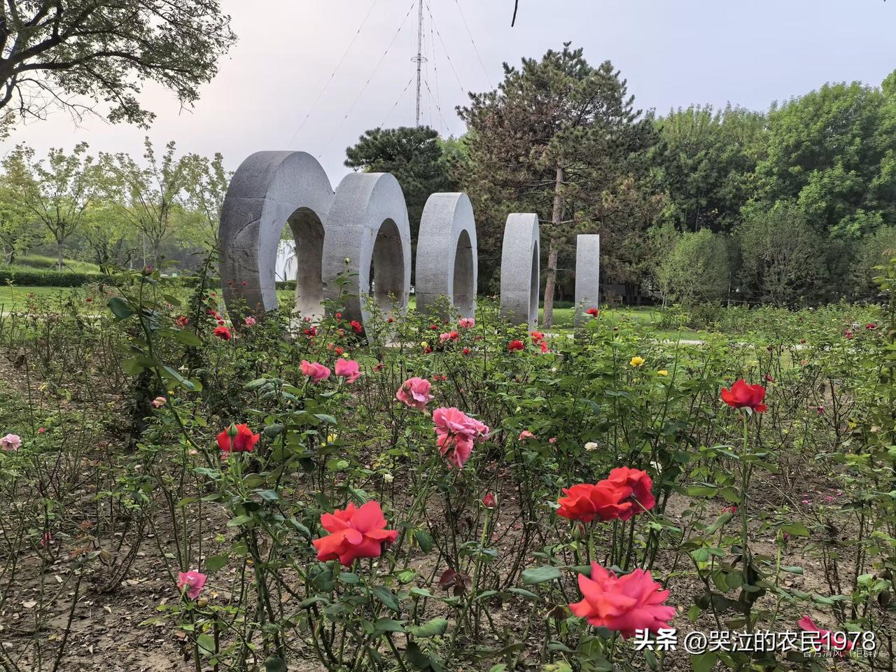 【临江仙·年轮】

叠石成轮凝岁，环环漫印沧桑。
层纹尽写古今章。
风穿空窍里，