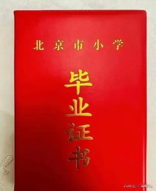 新闻头条将推出，学历验证才可以在评论区发言，此次改革旨在提高创造者和评论者的知识