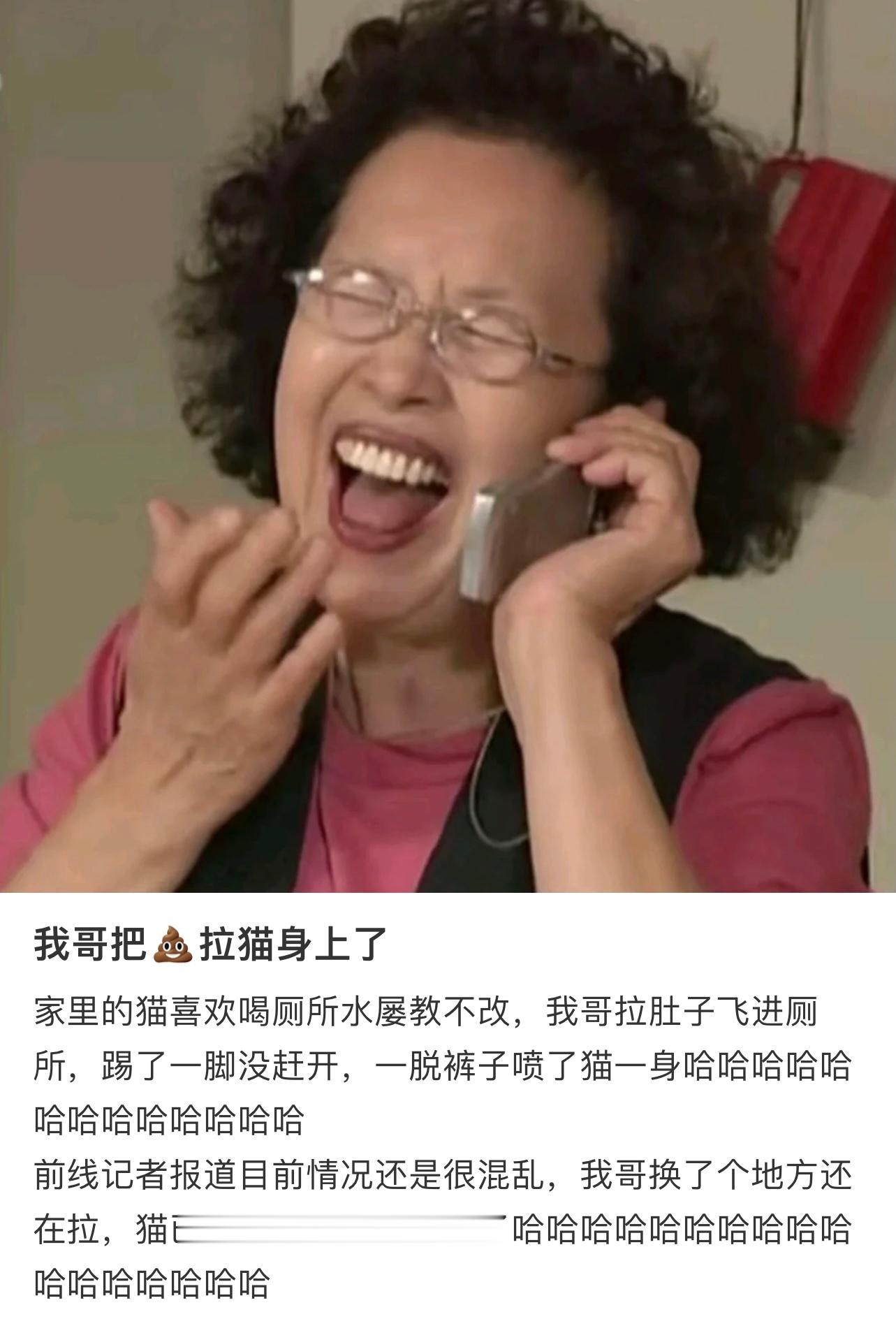看标题就很炸裂……《猫已经疯了，我妈也疯了》《当事猫事发时情绪激动脏话连篇》《已