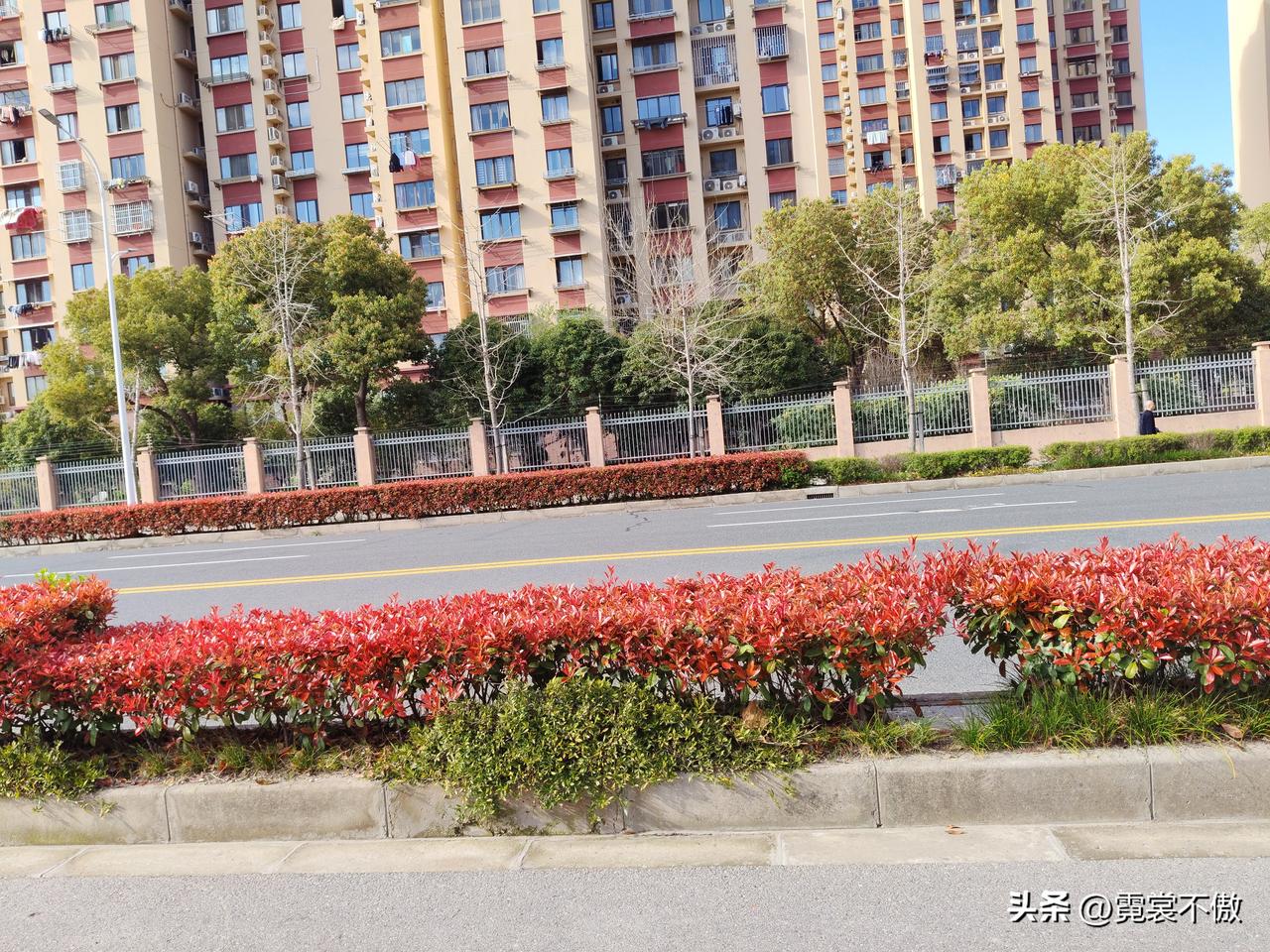 晒图笔记大赛春到永康城