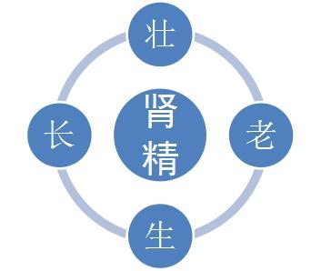 肾精足不足，看这四个地方就知道，能满足两个那就恭喜你了

1.发为肾之华
“肾其