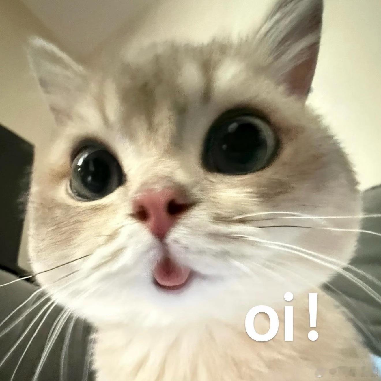 4.5天工作制一般专家说我不听，但这个专家说我觉得说的有道理，抓紧时间落实哈～ 