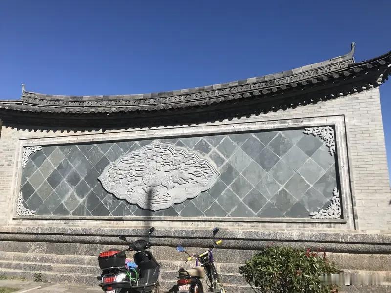 夏日生活打卡季 夏日生活打卡季，这夏天打卡啊，既有惊喜，也有“惊吓”。就拿洱海边
