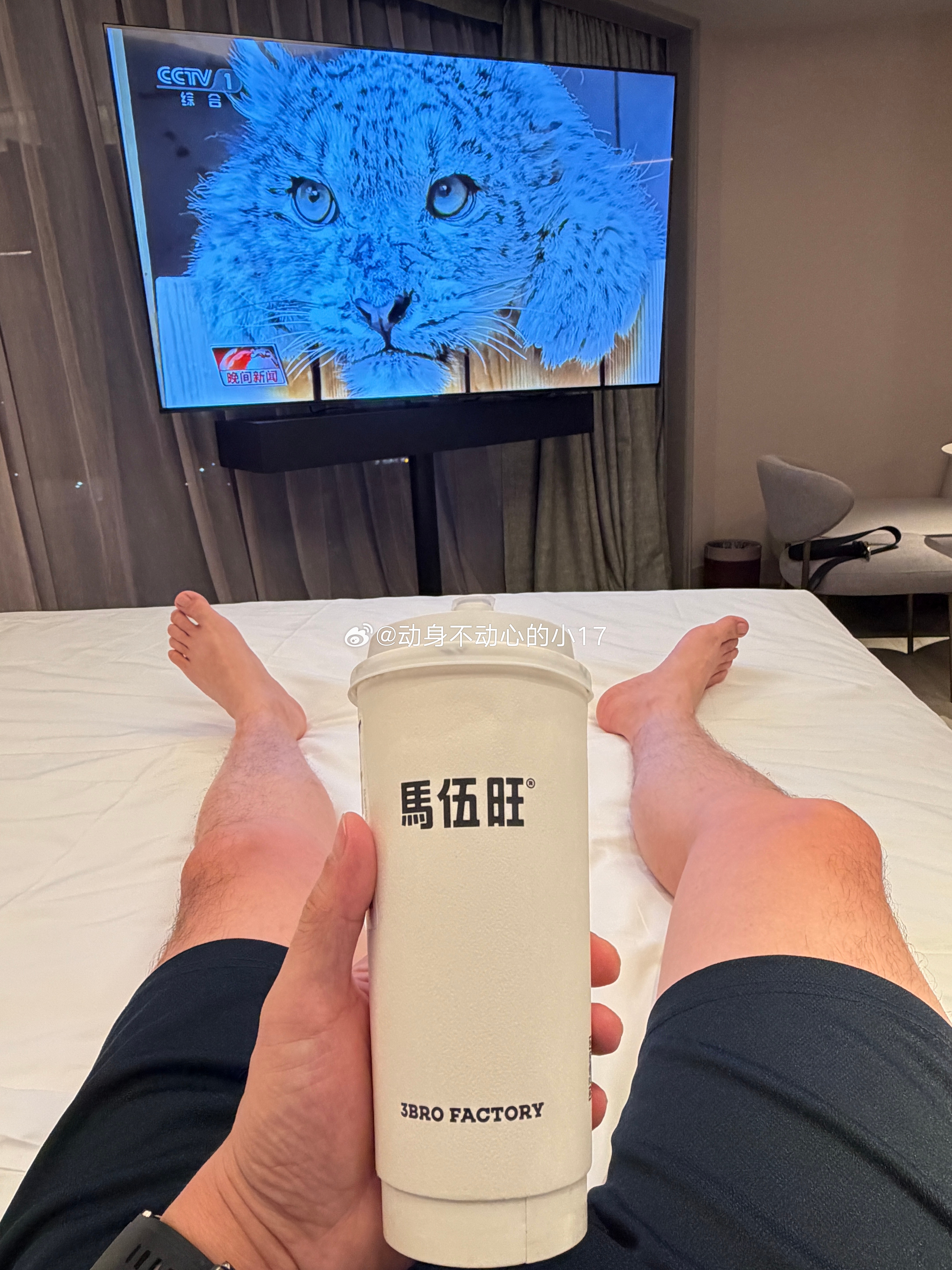 诚招室友有奶茶喝/ 