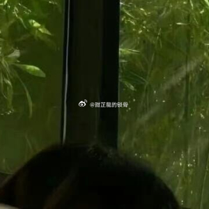 乡野农家一年四季没个清闲的时候，春种秋收是寻常，夏采摘冬拾柴，日子每天塞得满满当