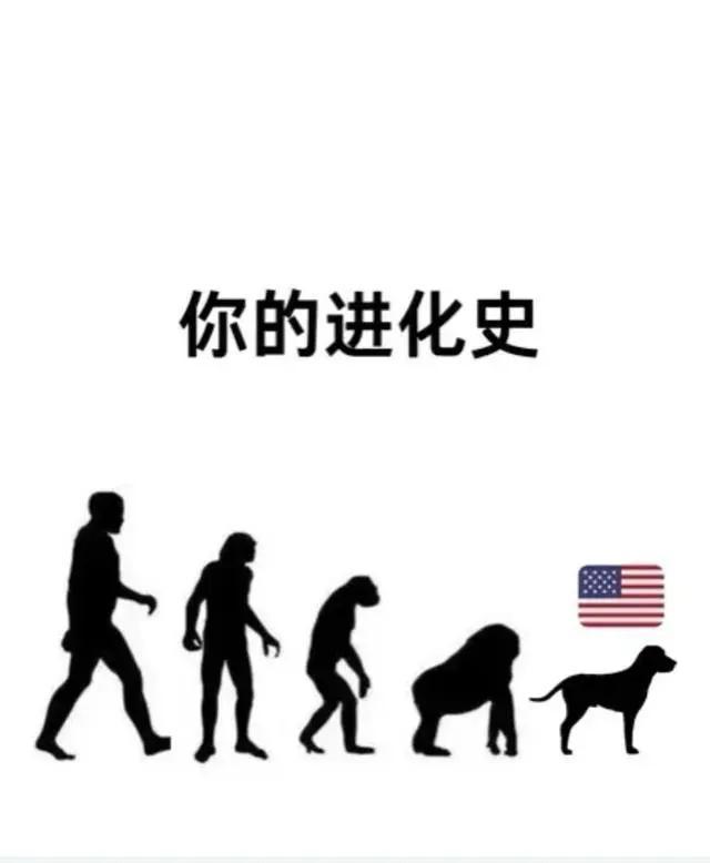 刚才有个工友告诉我，她以前干活老板娘因为买六合彩被抓进去了，据说拘留最少本个月！