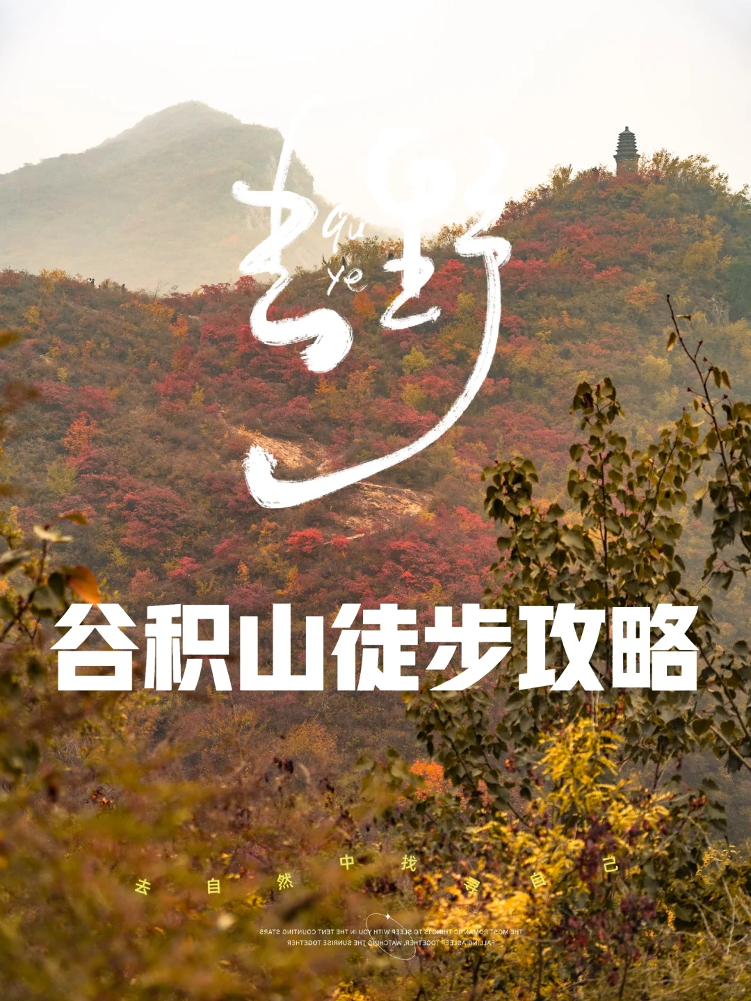 ⛰️ 谷积山徒步攻略 | 一步一景的秘境之旅！✨