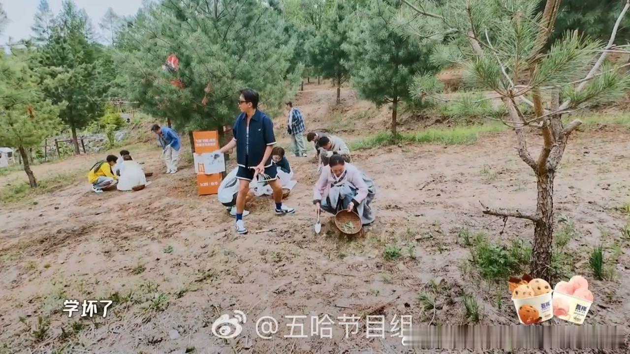 鹿晗抢邓超人参邓超说鹿晗学坏了哈哈哈哈哈 五哈团三人互盯人参名场面，鹿晗趁超哥分