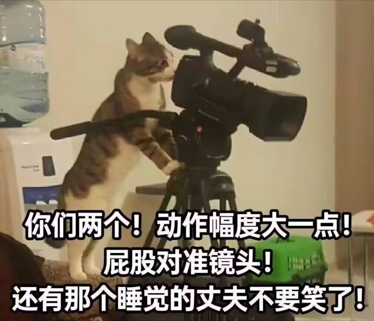 说实话！你们看拍拍的小视频时，会不会脑补这个人是因为什么原因挨打的[并不简单] 
