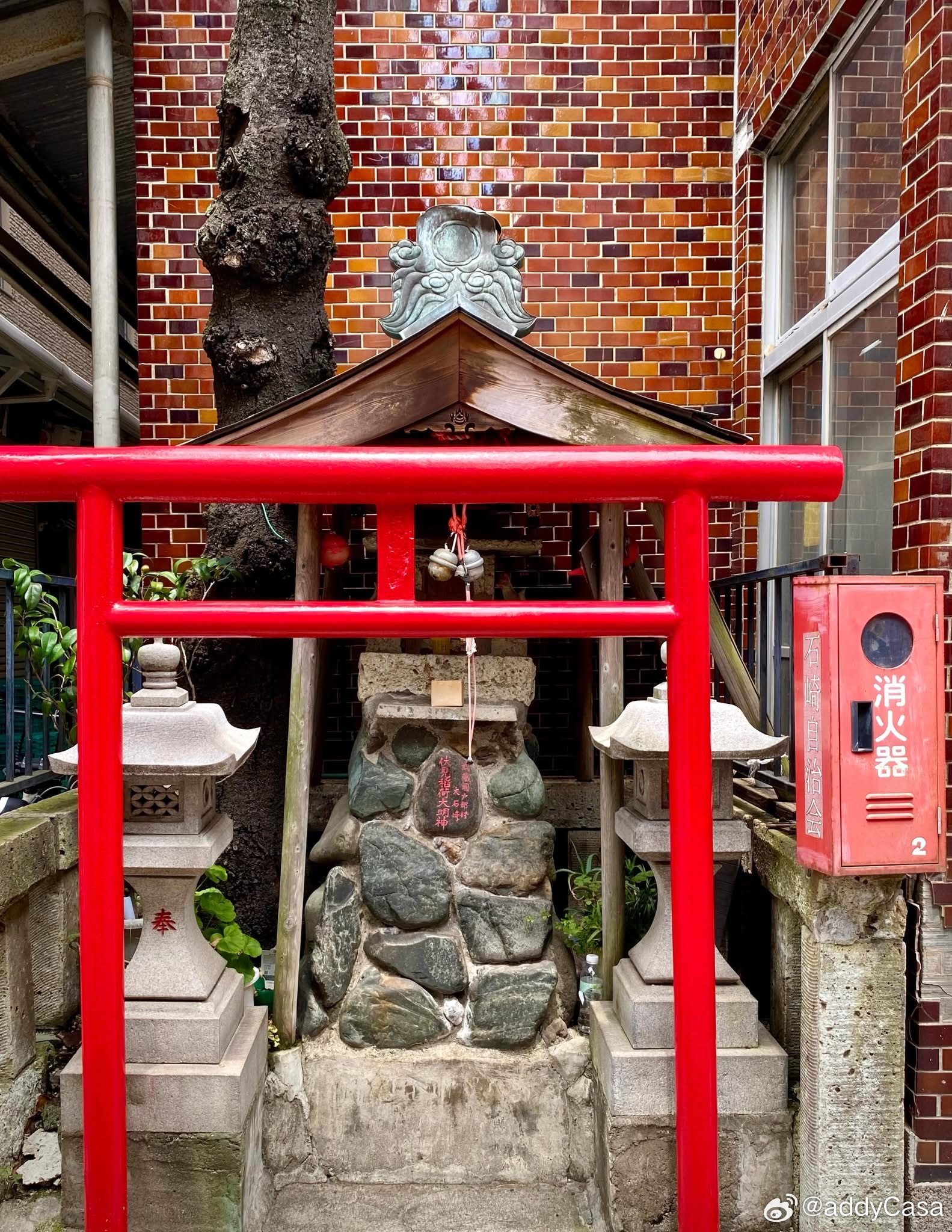 T G I F東京一週間的新發現。 日本·横滨