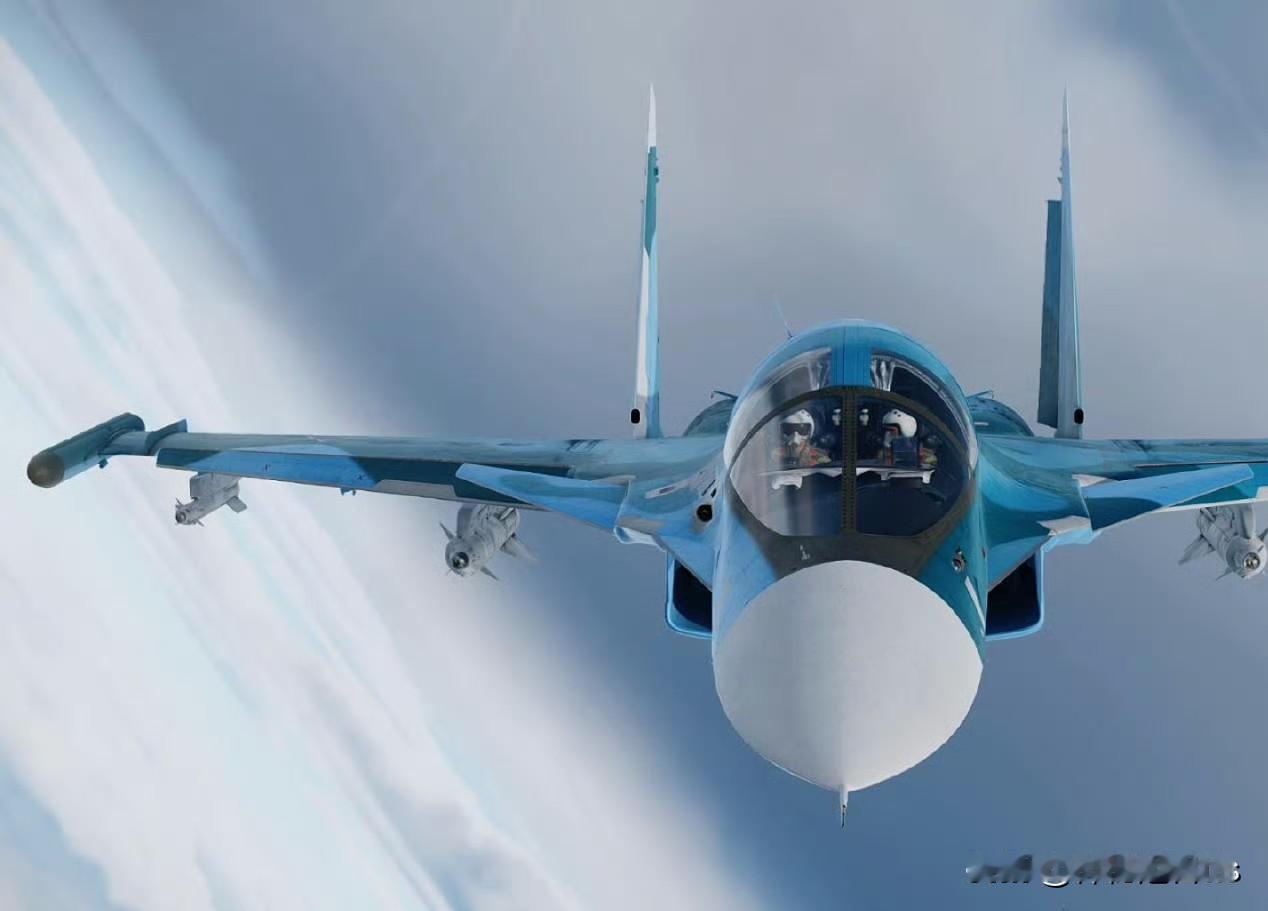 昨天，一架俄罗斯空军苏-34战斗轰炸机（鸭嘴兽）在黑海上空用自己巨大垂直尾翼击落