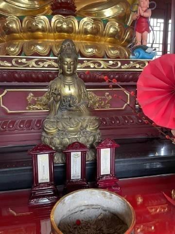 多行善业，福虽未至，但祸已远离。广结善缘，广种福田，这样欠下的债才会被你消掉，从