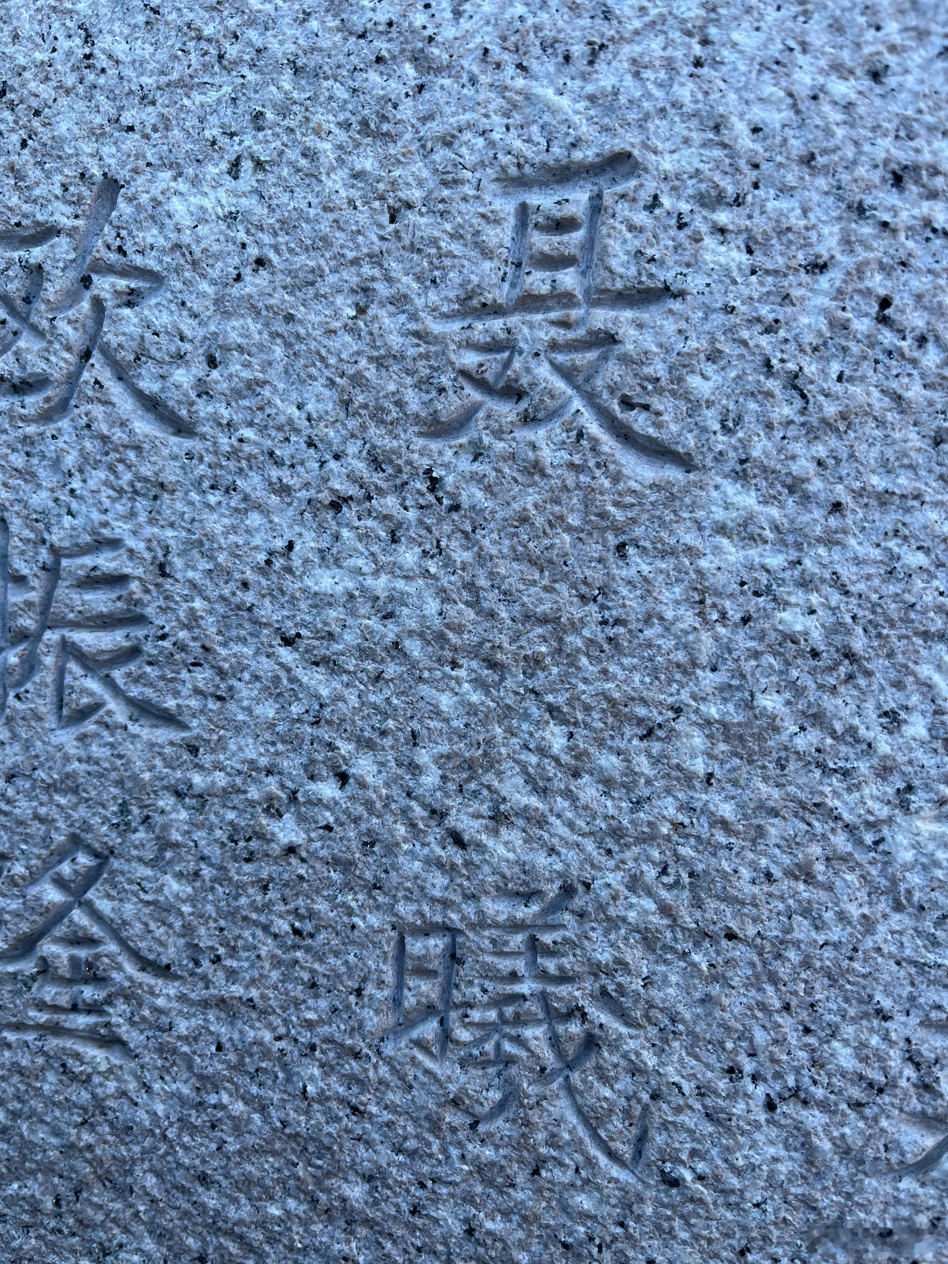 青山无语，英魂含笑。肃然伫立，唯闻松涛。