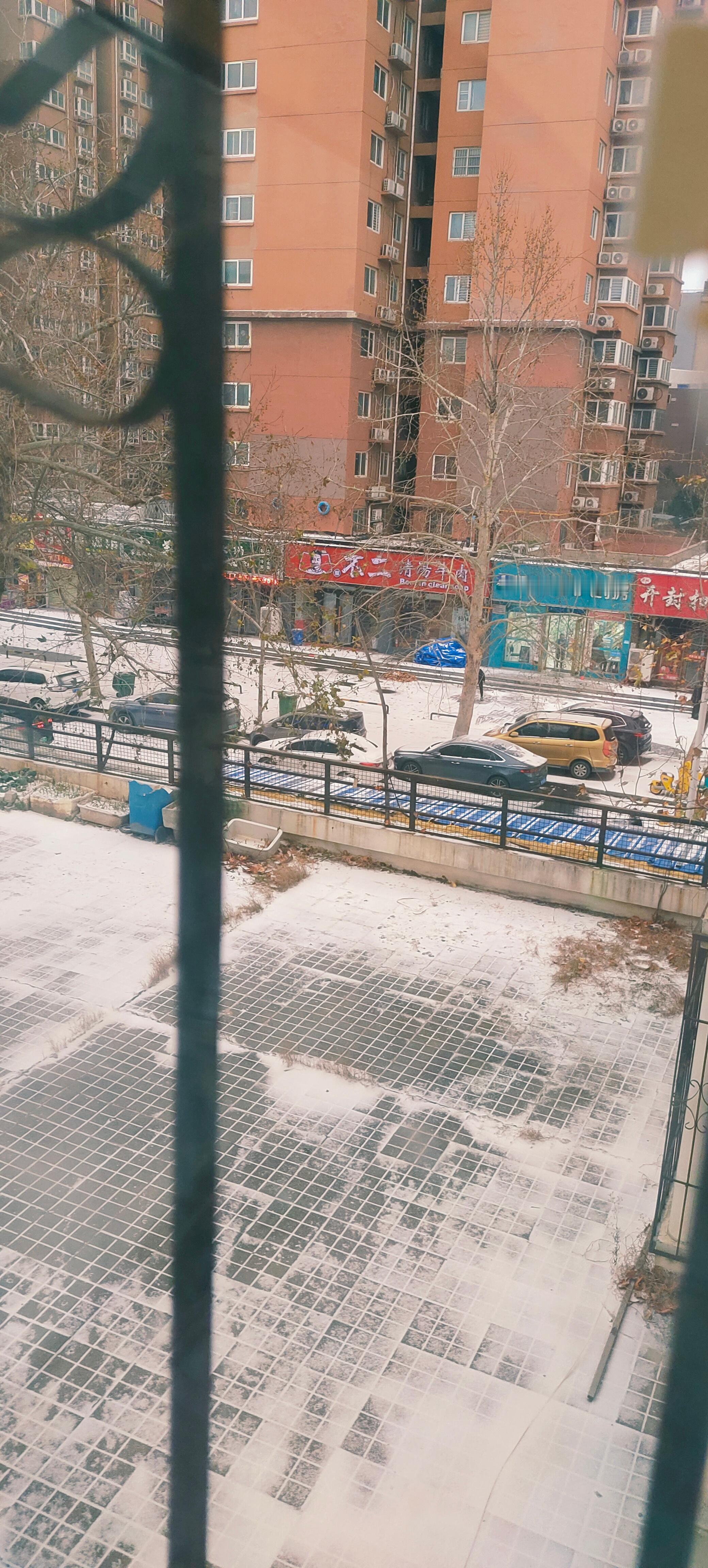 2026年的第一场雪，下午大的还要来！郑州大雪