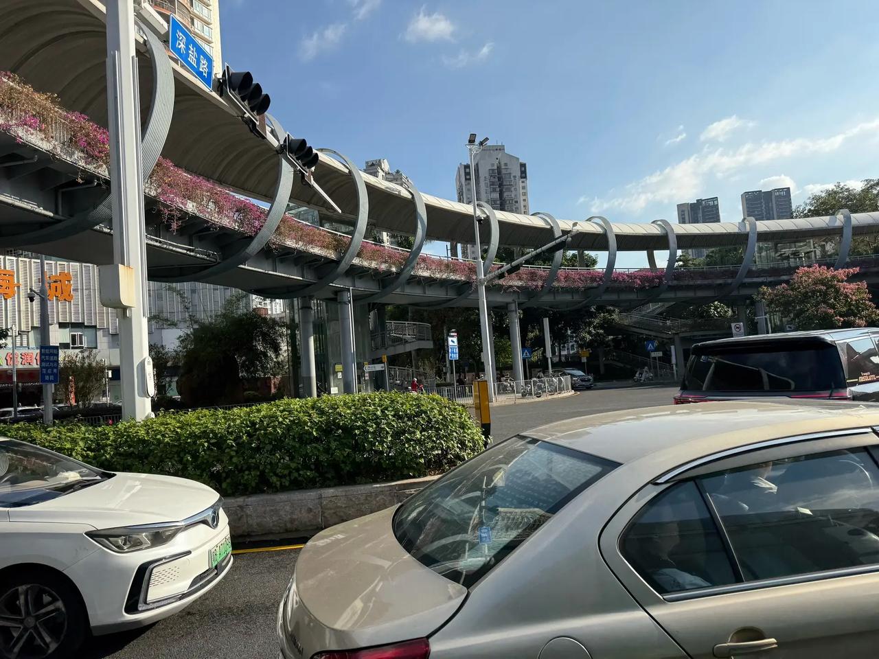 于海青：为何说深圳是一座难以复制的城市？ 如今的深圳依然在奔跑，因为粤港澳大湾区