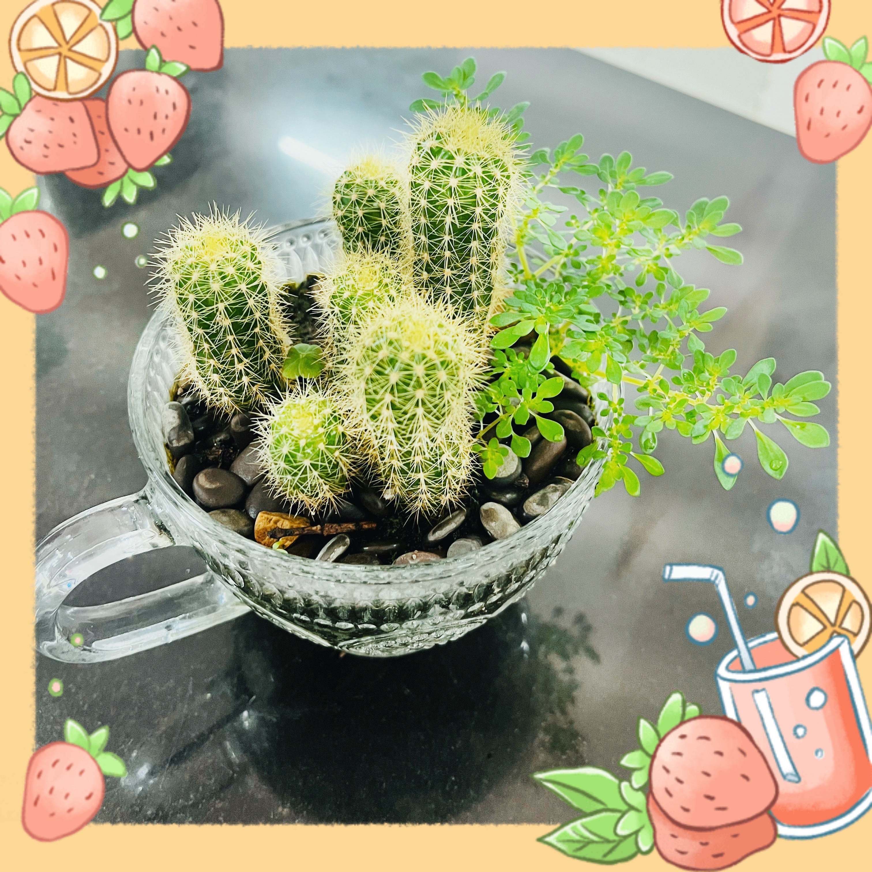 有一天你会遇到一个彩虹般绚丽的人，从此以后，其他人就不过是匆匆浮云。 